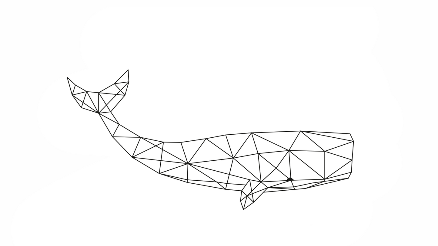 Bottiglia Moby Dick da 0,6 litri