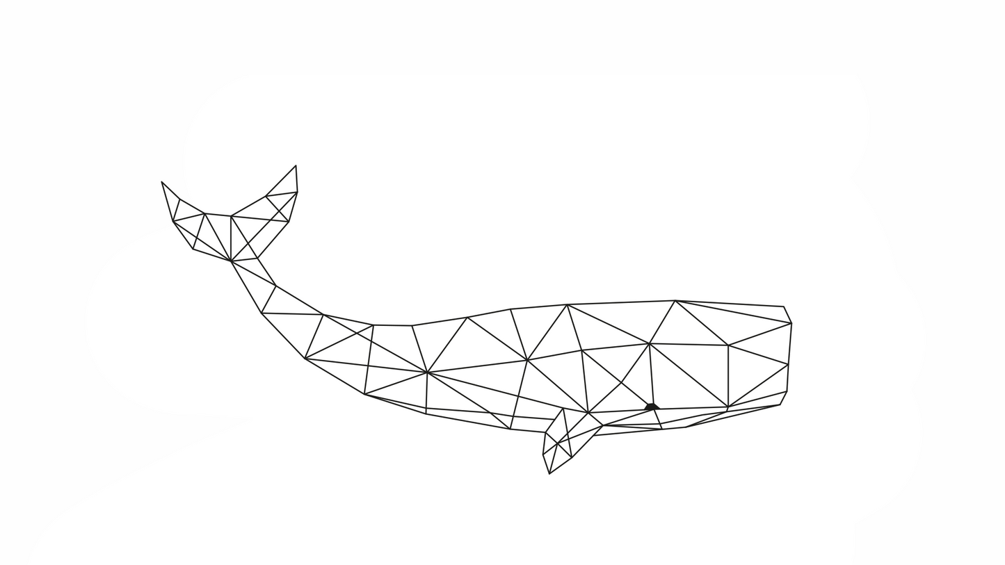 Botella Moby Dick 1 litro